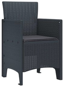 Cadeiras de Jardim com Almofadas 2 pcs Antracite