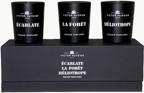 Velas perfumadas Bougie (escarlate, heliotrópio, La Forêt), conjunto de 3