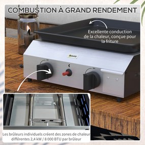 Grelhador a gás em aço inoxidável esmaltado, com 2 queimadores de 4,8 kW, antiaderente, ampla superfície de cozedura de 40 L x 34 L cm, transportável