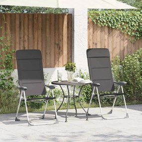 vidaXL Cadeiras de campismo 2 pcs 58x69x111 cm alumínio cinzento