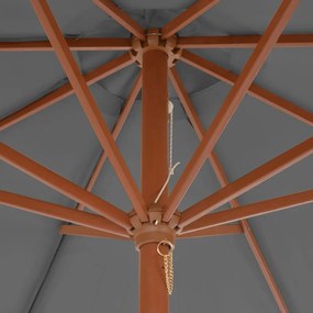Guarda-sol de exterior com mastro de madeira 300 cm antracite