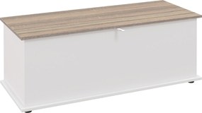 HOMCOM Baú de Armazenamento de Madeira Banco de Armazenamento Carga Máxima 60kg 100x40x40 cm Branco e Madeira | Aosom Portugal