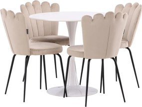 Conjunto para refeições Dallas 4591