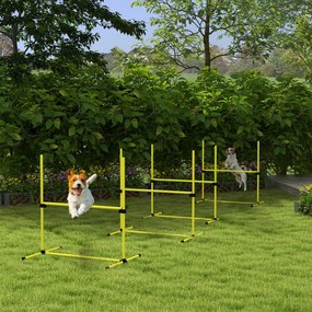 Conjunto de 4 obstáculos profissionais para agility canino, com sistema de fixação ao solo e saco de transporte incluído
