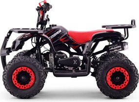 Mini Moto Infantil para crianças 5 a 9/10 anos Gasolina 50 CC Beneo Motors Cobra com limitador de velocidade vermelha