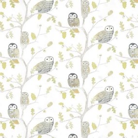 Little Owls 112627