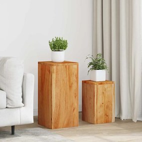 vidaXL Suportes para plantas 2 pcs madeira de acácia maciça