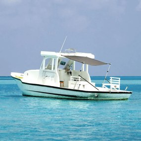 Extensão de toldo em T 170x170x(115-183) cm antracite