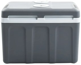 Refrigerador/mala térmica portátil 40 L 12 V 230 V E