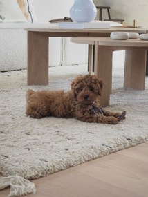 Brinquedo para cães Otto