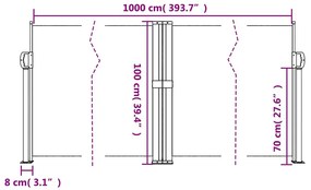 Toldo lateral retrátil 100x1000 cm antracite