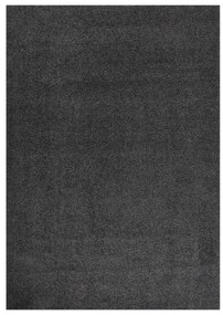 vidaXL Tapete shaggy de pelo alto 120x170 cm antracite