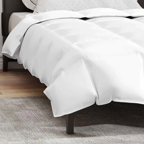 Colchas &amp; Edredons Branco 155 x 220 cm Penugem