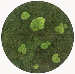Quadro de parede artesanal com musgo circular Forest & Ball