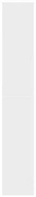 Sapateira 60x21x125,5 cm derivados de madeira branco