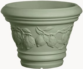 Vaso Limoni