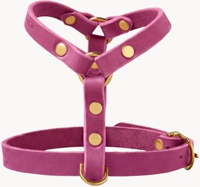 Peitoral para cão em pele Y-Harness, vários tamanhos
