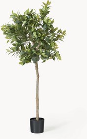 Planta artificial Money Tree