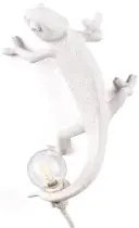 Chameleon Lamp Going Up