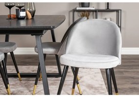 Venture Home Cadeiras de jantar Velvet 2 pcs veludo preto/latão/cinza
