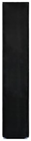 Sapateira 60x30x166 cm tecido preto