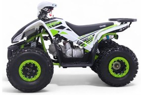 Mini Moto 4 gasolina para crianças automática 125cc Roan Coyote R8 Ecrã digital e com e marcha-atrás Verde