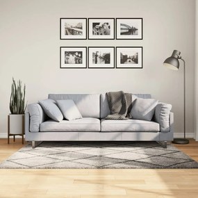 Tapete shaggy de pelo alto PAMPLONA 120x170 cm bege e antracite