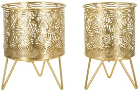 P/PAR POTES NATY CM Ø 16X20-13X20