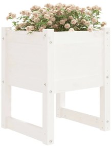 Vaso/floreira 40x40x52,5 cm pinho maciço branco