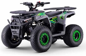 Moto 4 gasolina crianças Motors WARRIOR 125cc Verde