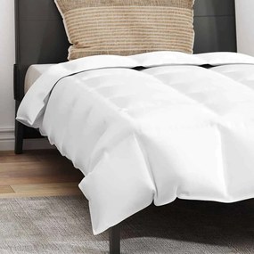 Edredão com travesseiro 2 pcs Branco 135 x 220 cm Penugem