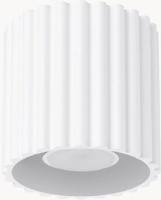 Foco de teto pequeno Zora