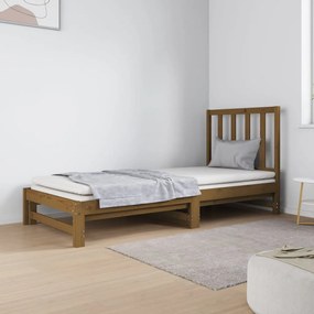 3124755 vidaXL Estrutura sofá-cama de puxar 2x(90x190)cm pinho maciço castanho