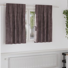 vidaXL Cortinas de Veludo 2 pcs com Ilhós Castanhas 140x140 cm