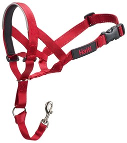 Coleira de Treino para Cães Company of Animals Halti Açaime (35-48 cm)