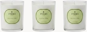 Velas perfumadas artesanais Vintage Aromatherapy (lírio-do-vale, flores brancas, almíscar branco), conjunto de 3