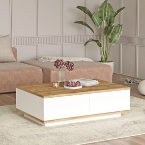 Mesa de Centro FR14 – Pinho Atlântico e Branco – 90x28,6x60 cm