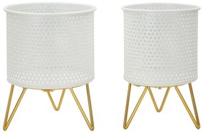 PAR VASO P/GASPY CM Ø 16X20-13X20