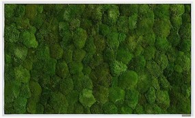 Quadro emoldurado artesanal com musgo Ball Forest