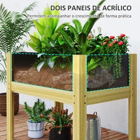 Floreira de Madeira Mesa de Cultivo com Painéis de Acrílico Floreira E