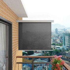 143716 vidaXL Toldo lateral para varanda multifuncional 150x200 cm cinzento
