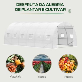 Estufa de Túnel 600x300x200cm com Porta Enrolável 12 Janelas Cobertura