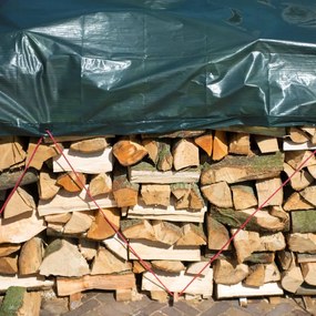 Lona para lenha 3x4 m PE verde 6072418