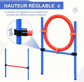 Equipamento completo de agility para cães: obstáculos e treino – conjunto de 11 peças para percurso de agility, com bolsa de transporte em aço vermelh
