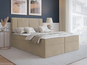 Cama continental Zanesville 101