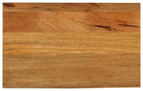 vidaXL Tampo de mesa c/ borda viva 60x30x2,5 cm mangueira maciça