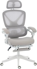 Cadeira de Escritório de Malha Reclinável com Apoio de Cabeça, Suporte Lombar, Apoio para os Pés e Altura Regulável, Cinzento Claro