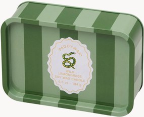 Vela perfumada de dois pavios A Dopo Snake (erva-cidreira selvagem)