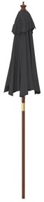 Guarda-sol de jardim com poste de madeira 196x231 cm preto
