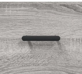 Sapateira 60x35x105 cm derivados de madeira cinzento sonoma
